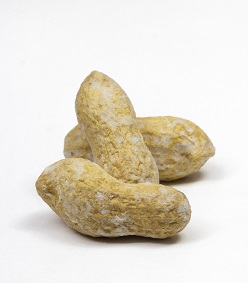 Salted shelled peanuts